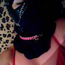 KittyCatGirl KittyCatGirl