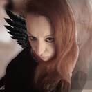 Gattinacuriosa Gattinacuriosa