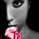 Angelica88 Angelica88