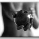 Baby_Giulia Baby_Giulia